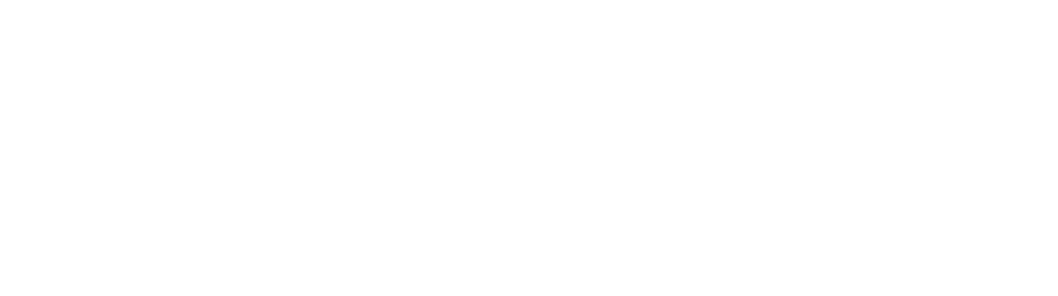 PebbleTec PebbleBrilliance Logo in White