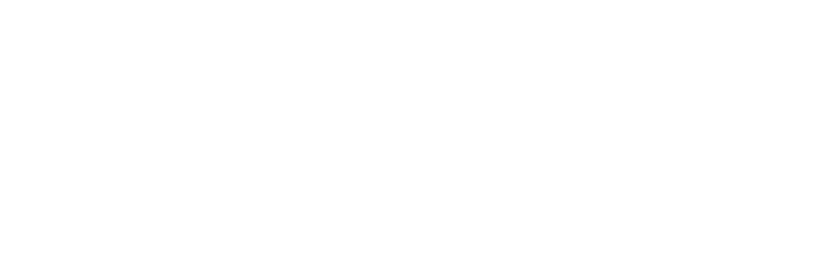 White logo for Pebble Essence