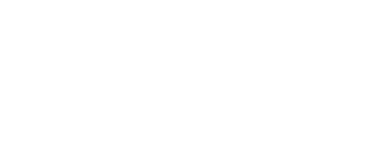 White logo for Pebble Fina
