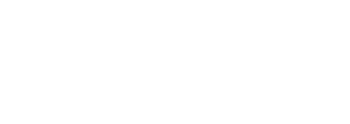 Pebble Technology International white logo