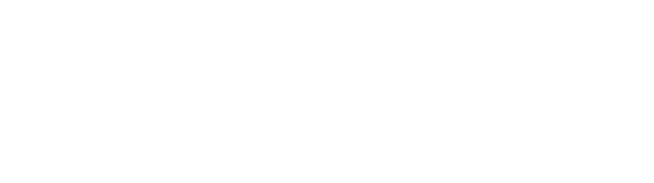 PebbleTec PebbleBrilliance Logo in White