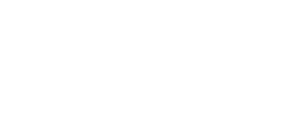 white logo pebble fina
