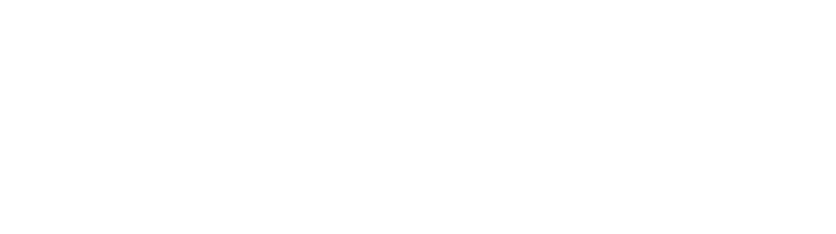 PebbleTec PebbleBrilliance Logo in White